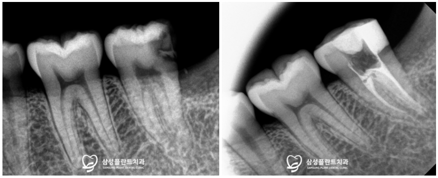 신정네거리역치과