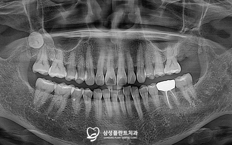 신정네거리치과