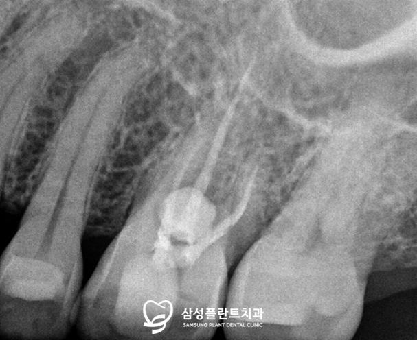 신정네거리역치과