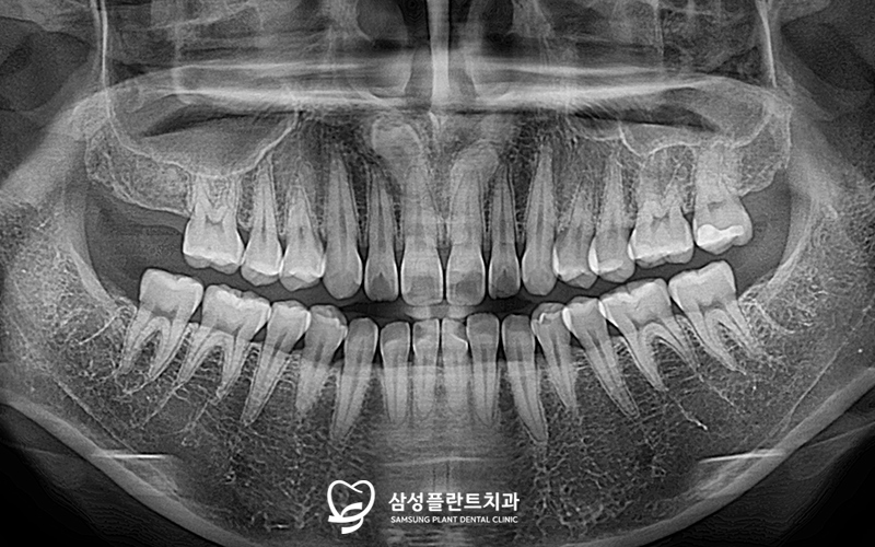 신정네거리역치과